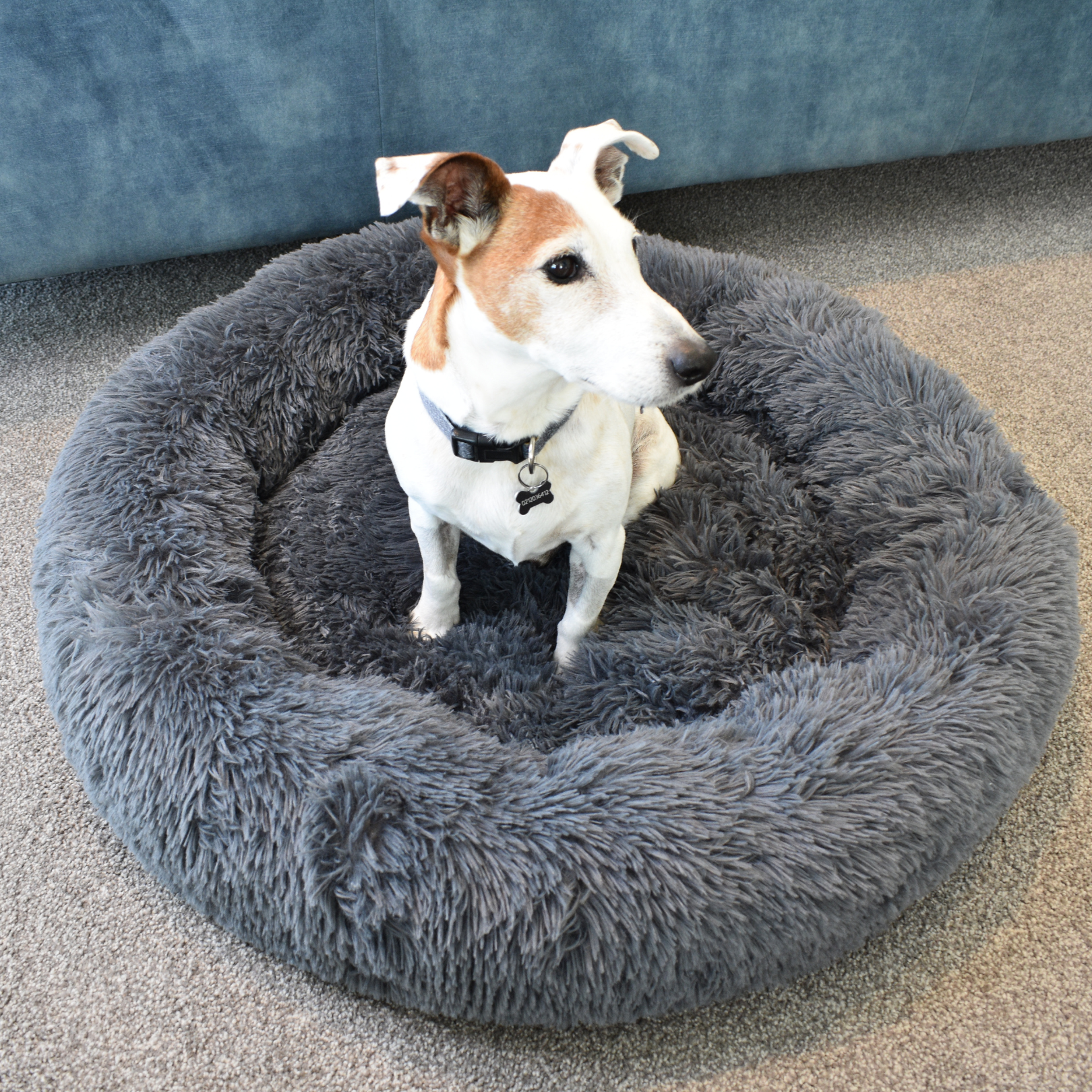 Calming Doughnut Bed