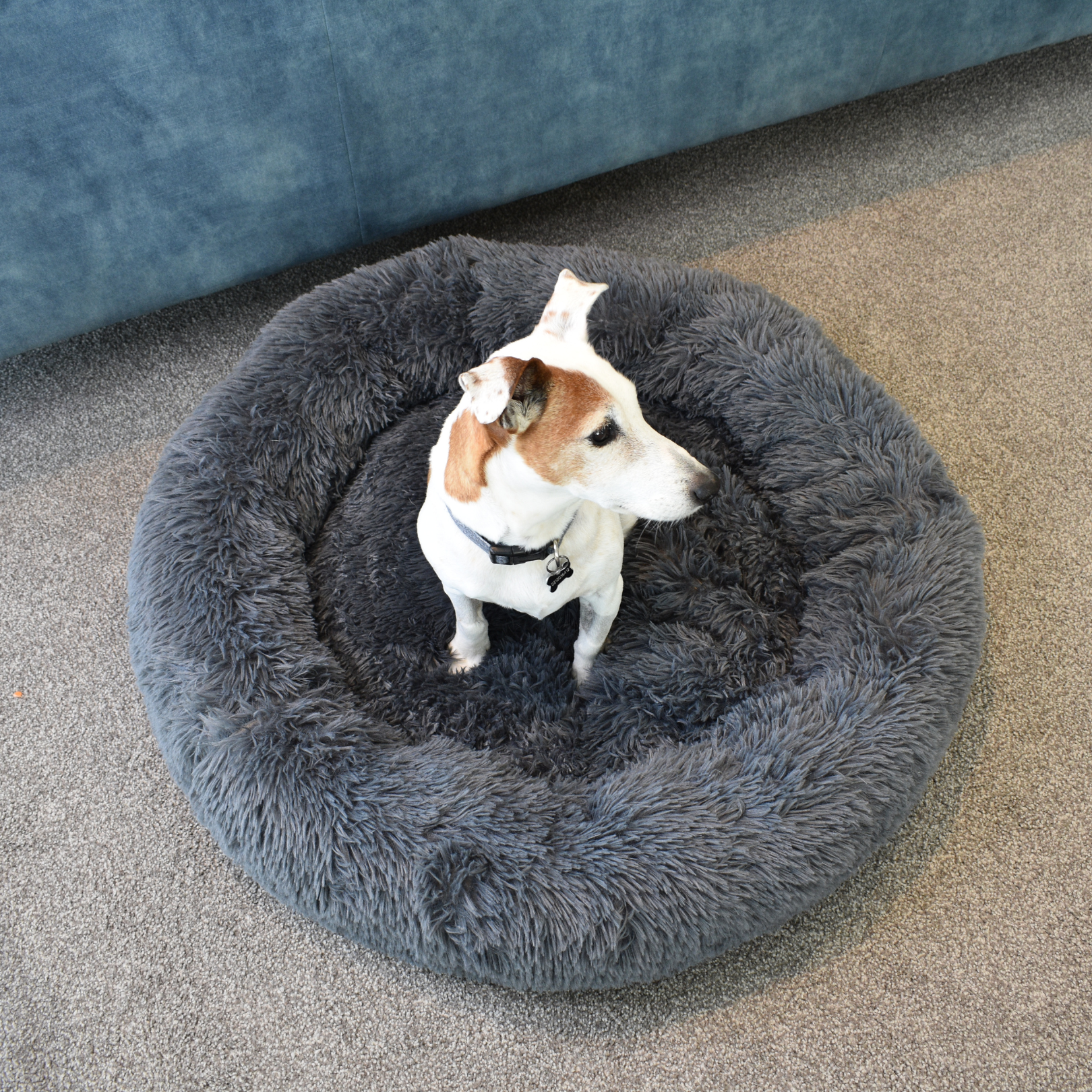 Calming Doughnut Bed