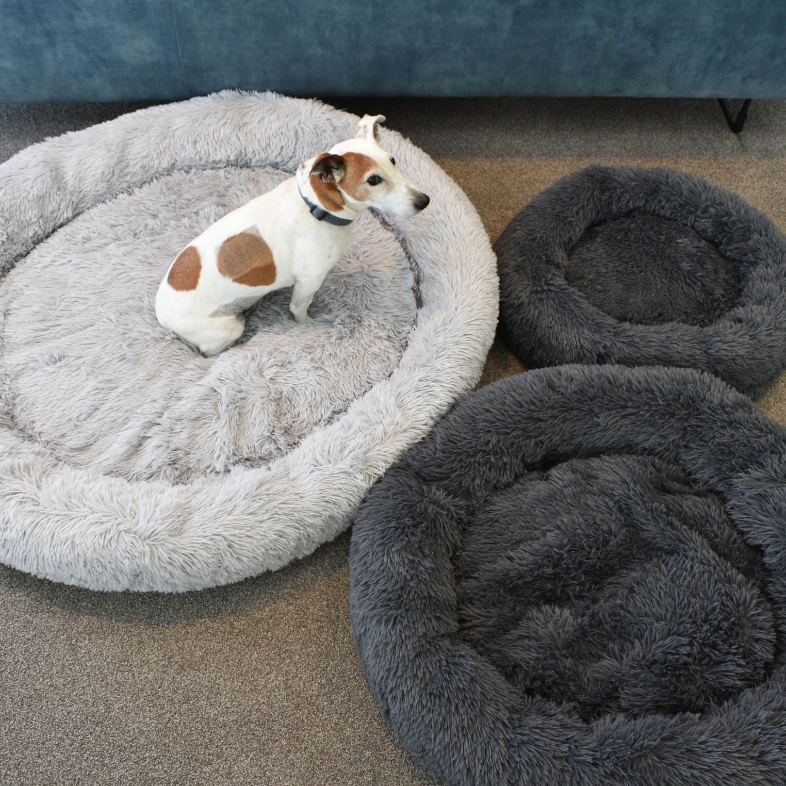 Calming Doughnut Bed