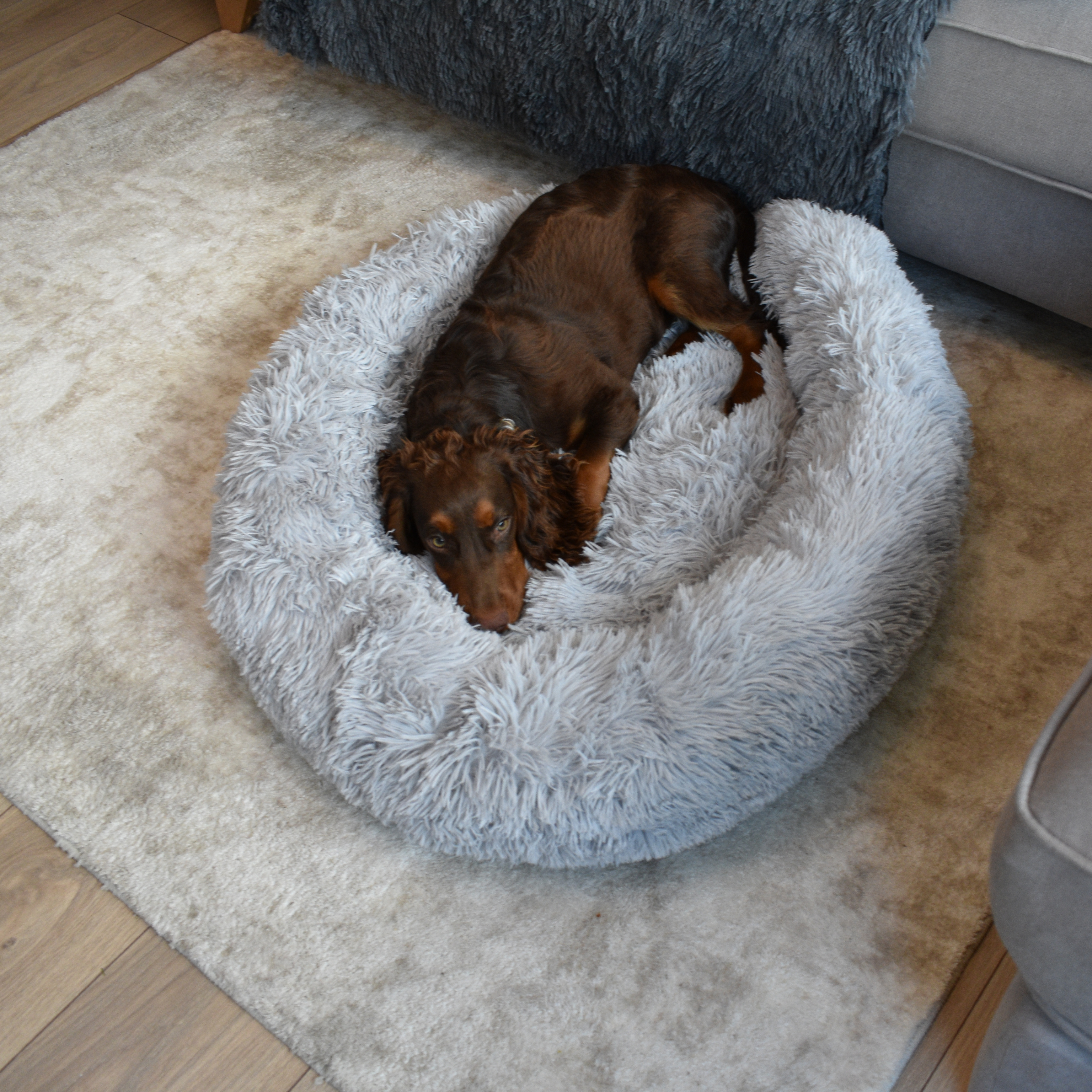 Calming Doughnut Bed