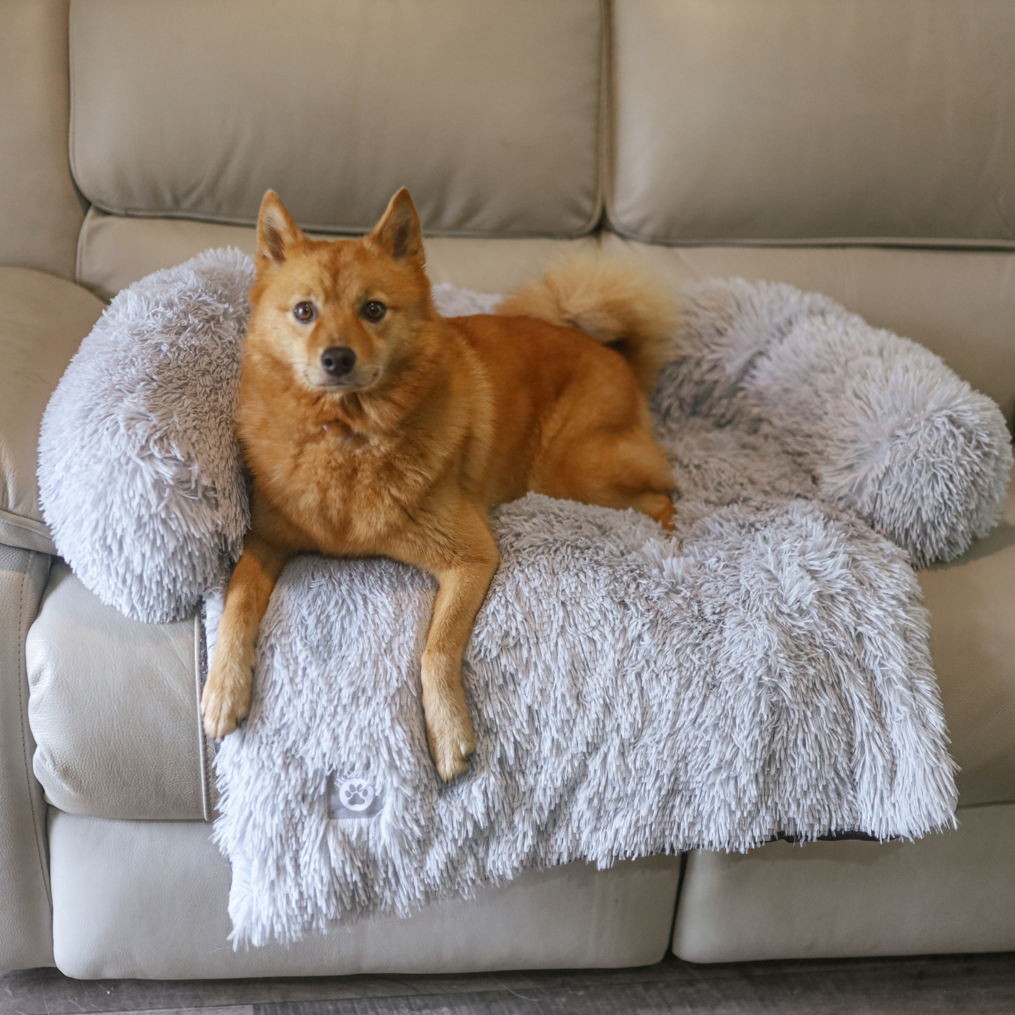 Calming Couch Bed